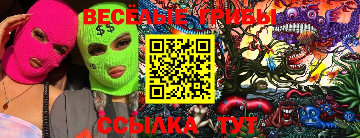 Псилоцибиновые грибы MAGIC MUSHROOMS Самара
