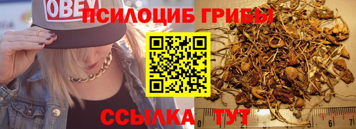 Псилоцибиновые грибы GOLDEN TEACHER  Псилоцибиновые грибы Psilocybine cubensis  Самара  дарнет шоп  Вход с VPN 